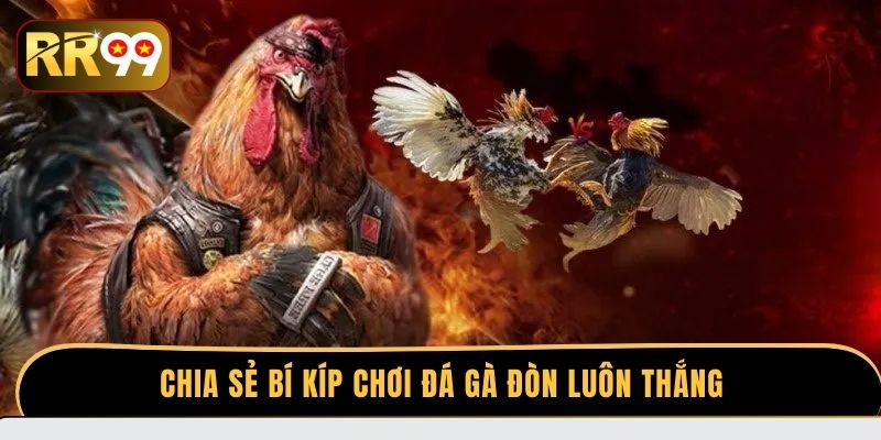 Chia sẻ bí kíp chơi đá gà đòn luôn thắng